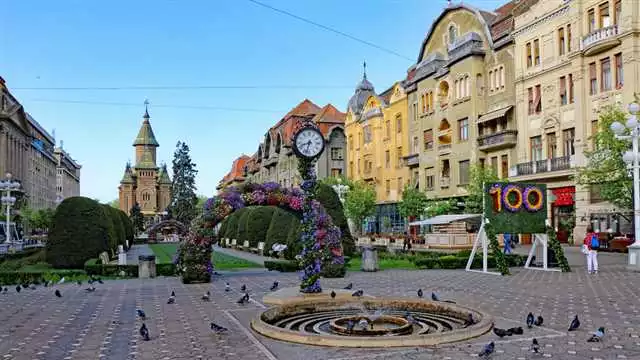 Cele mai bune locuri din Timișoara unde poți cumpăra Removio