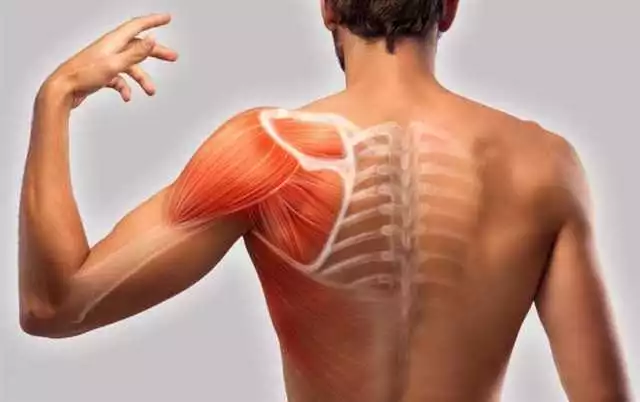 Gelarex cumpara: cel mai bun remediu pentru durerile musculare și articulare