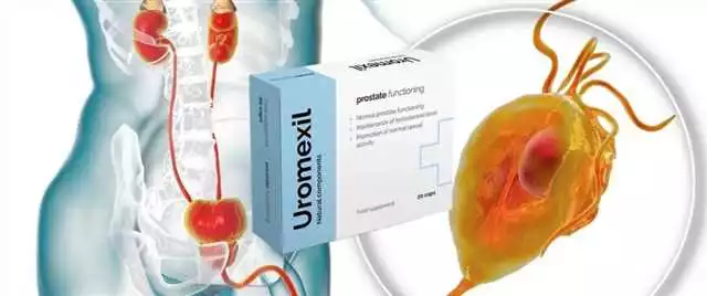Uromexil cumpara in Baia Mare — Tratament eficient pentru infectiile urinare | Farmacie online Baia Mare